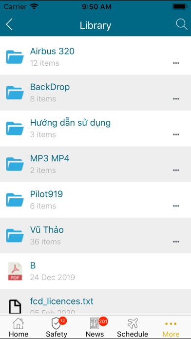 FCD 919 Connect Screenshot