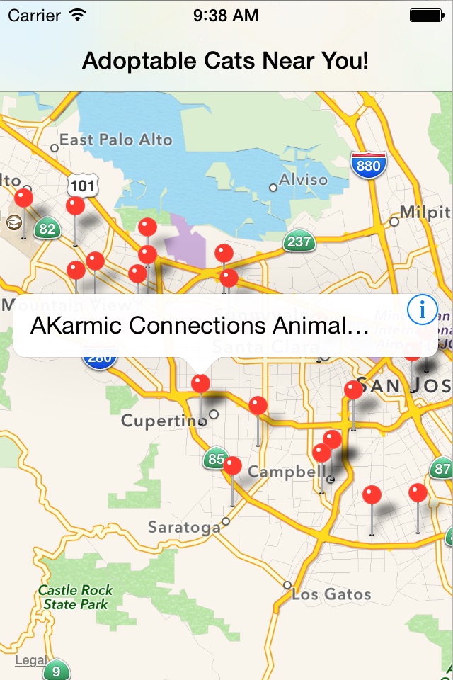 Adoptable Cats Near You! screenshot 2