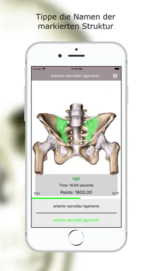 Screenshot von Anatomie Quiz Premium auf dem iPhone 3