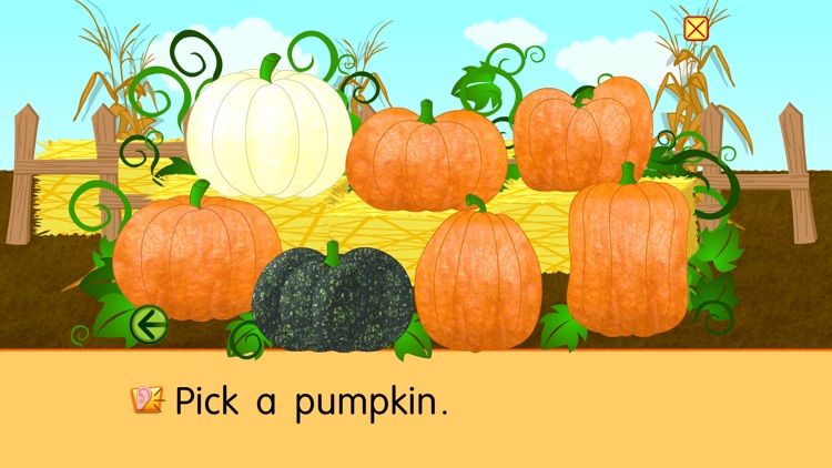 Starfall Pumpkin