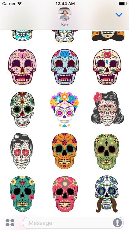 Dias de los Muertos Skulls