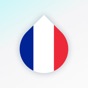 Learn French language by Drops app download