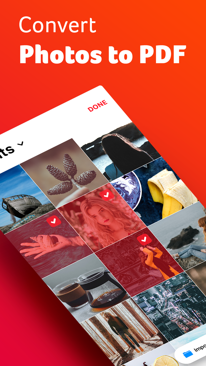 Photo PDF Converter and Printer