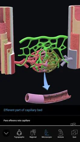 Game screenshot 3D Organon Anatomy Enterprise hack