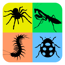 Ícone do app Life Cycle - Insects Arachnids