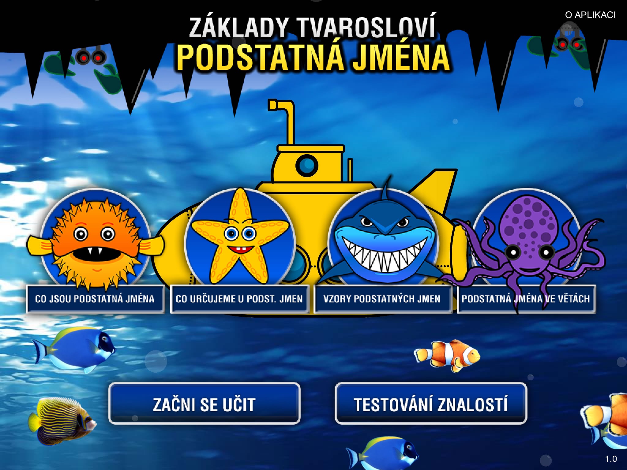 Tvarosloví - Podstatná jména screenshot 3