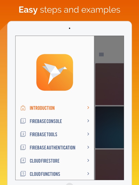 Screenshot #5 pour Firebase Pocket Guide