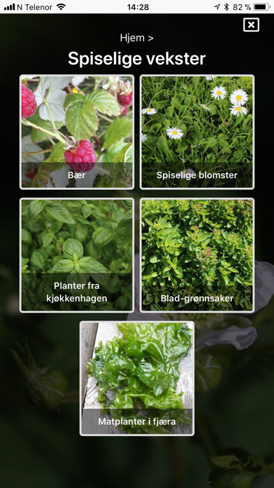 Spiselige vekster i naturen Screenshot