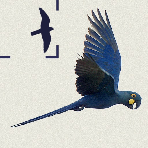 Birds of Brazil iOS App
