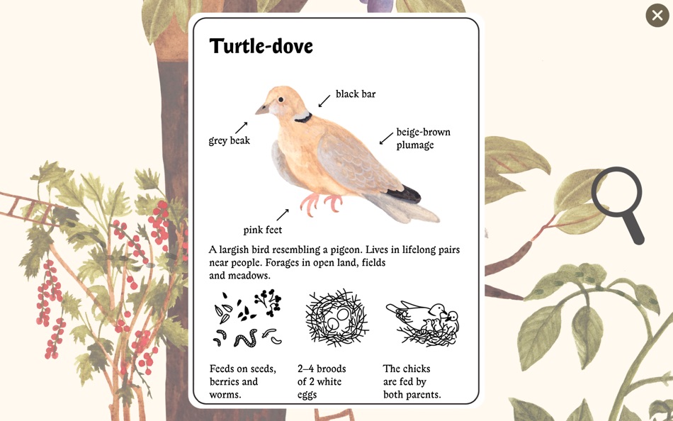 #4. Little Mouse's Encyclopedia (macOS) 由: Circus Atos