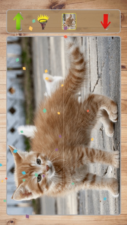 Happy Animals Puzzle