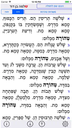 Esh Neshama אש נשמה iPhone Screenshot 5
