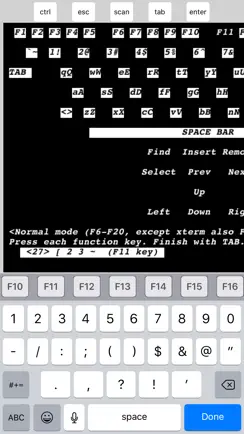 Telnet Lite iPhone image 2
