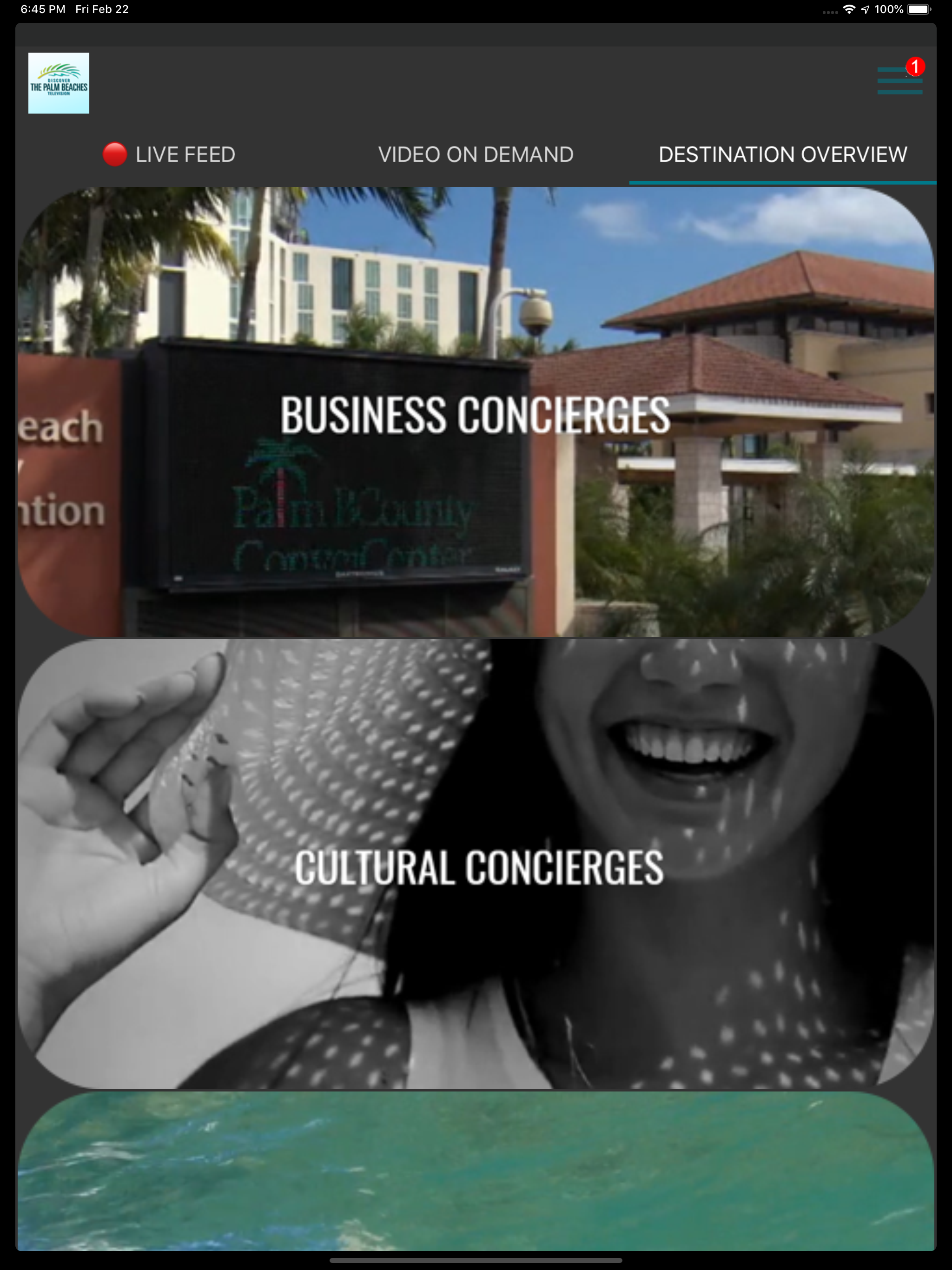 The Palm Beaches TV