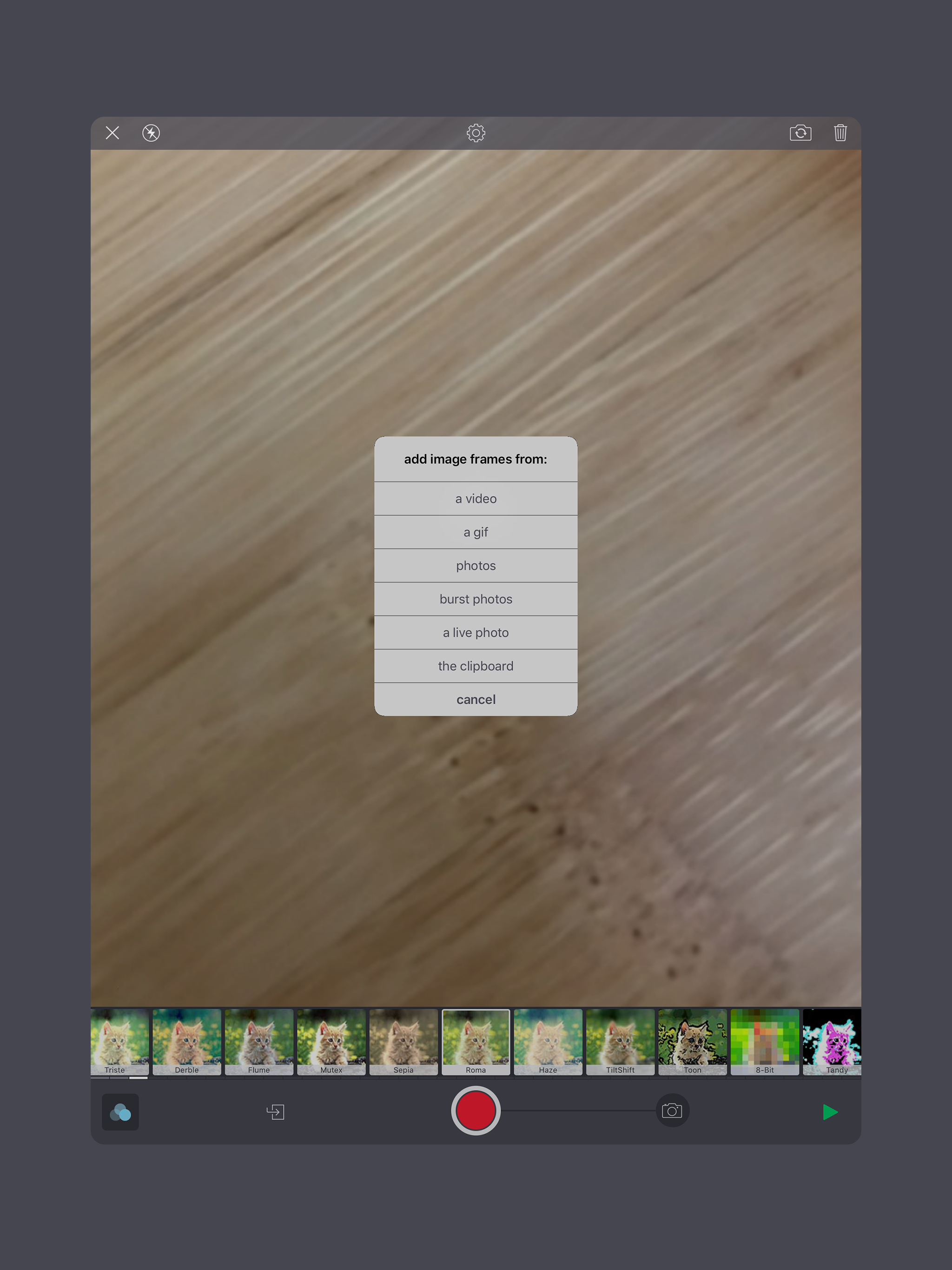 Giffer Animated GIF Maker screenshot 9