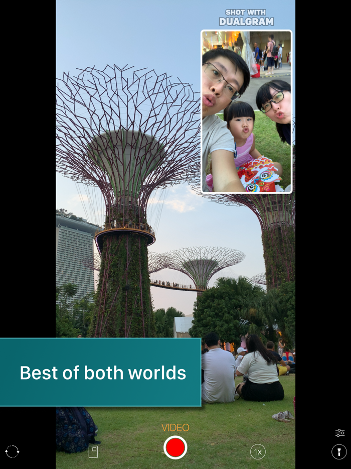 Dualgram Pro Film both sides