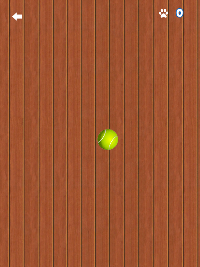 Laser Pointer for Dogs