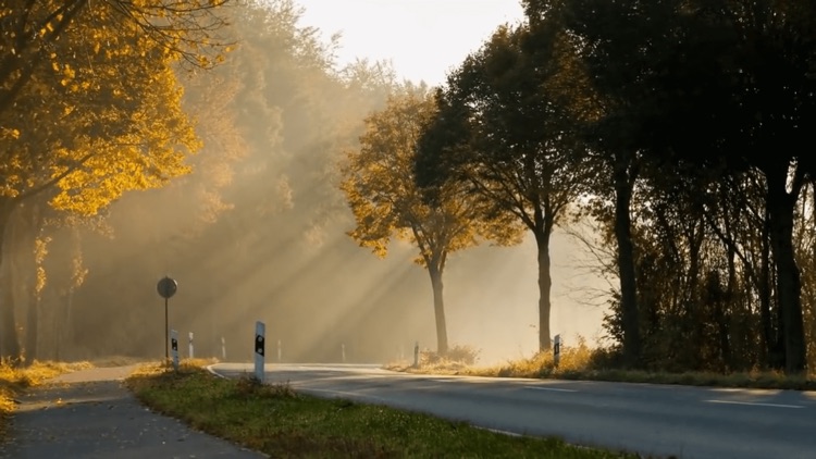 FaSloMo - Fast and SloMo Video screenshot-6