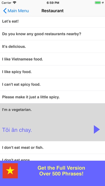 Speak Vietnamese Phrases Lite screenshot-3