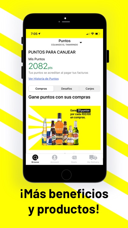 BEES Republica Dominicana