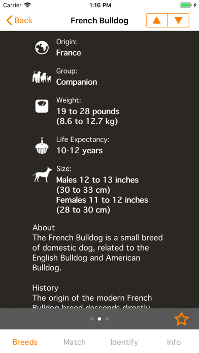 Perfect Dog Free - Ultimate Breed Guide To Dogs screenshot