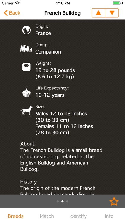 Perfect Dog X - All The Breeds