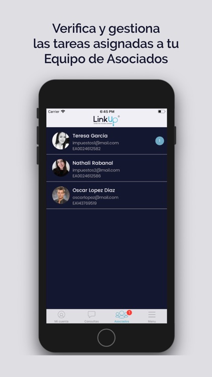 LinkUp Especialista screenshot-3