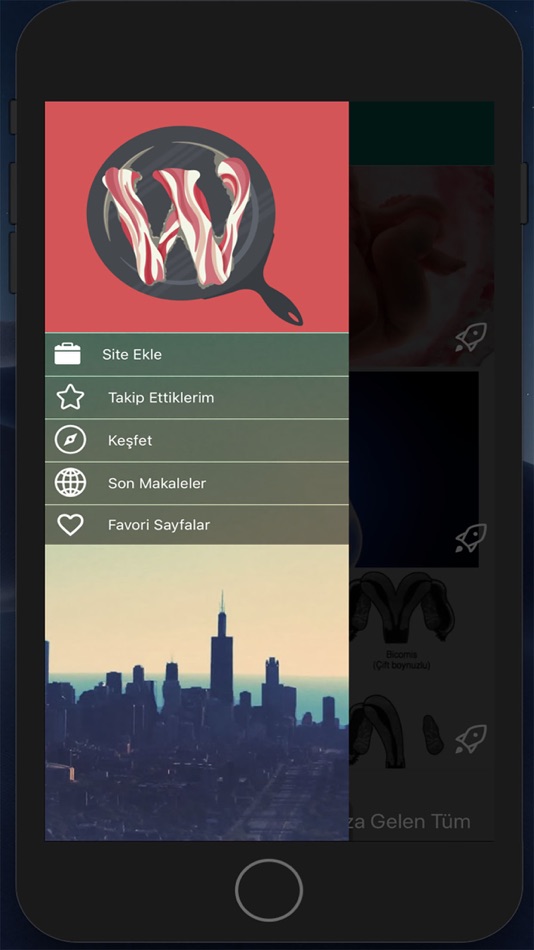 #2. Wordpress Site Oku ve Takip Et (iOS) 来自: burak dogan
