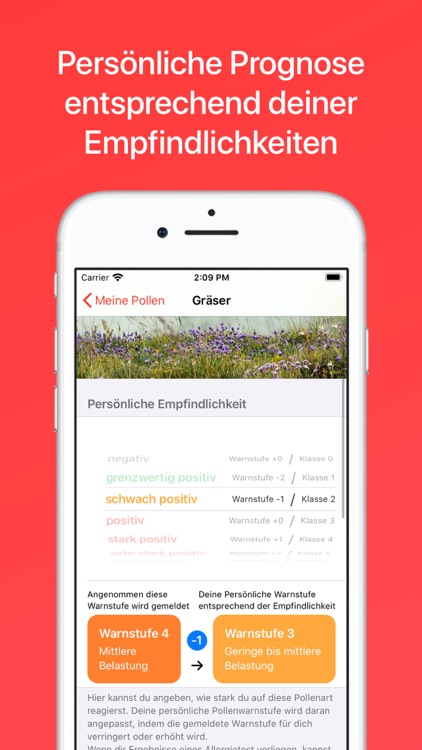 Pollenflug Vorhersage