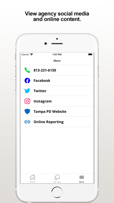 Tampa PD Screenshot
