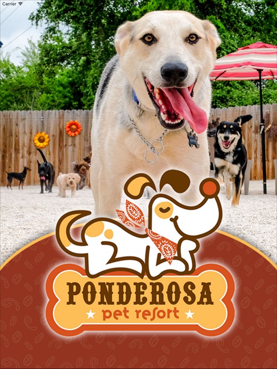 Ponderosa Pet Resort HD