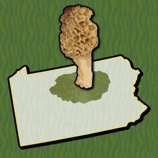 Allegheny Mushroom Forager PA icon