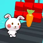 Jump Bunny App Contact