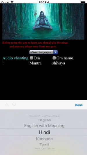 Learn Sri Rudram screenshot 4