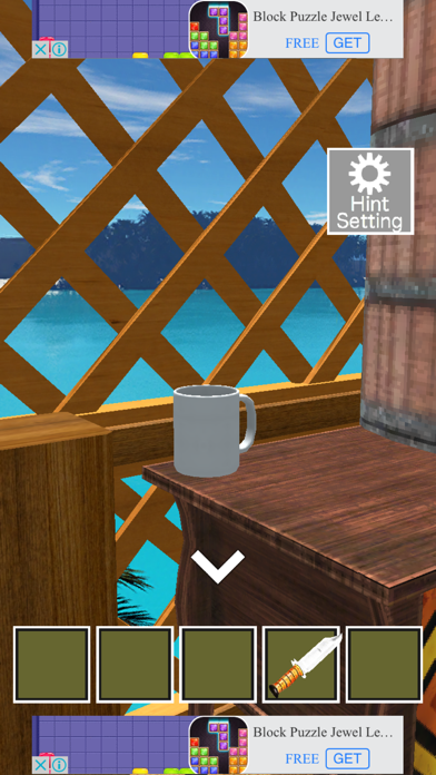 Escape from Beach Cottage Screenshot
