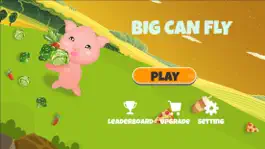 Game screenshot Big Can Fly mod apk