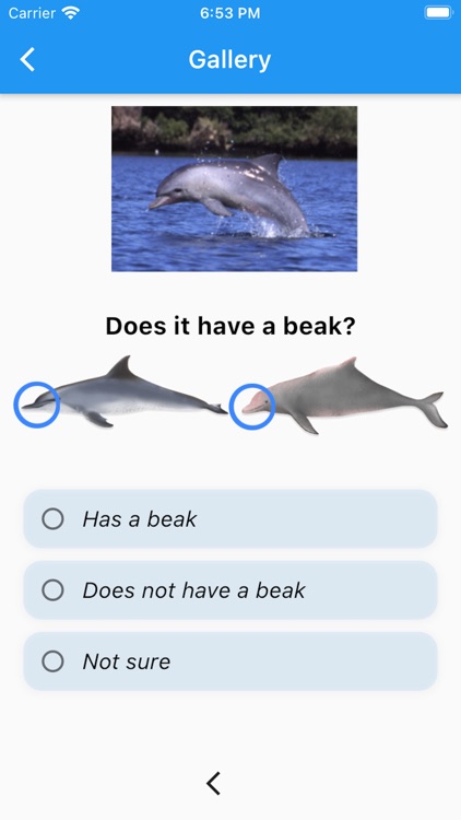 Marine Mammal App screenshot-4