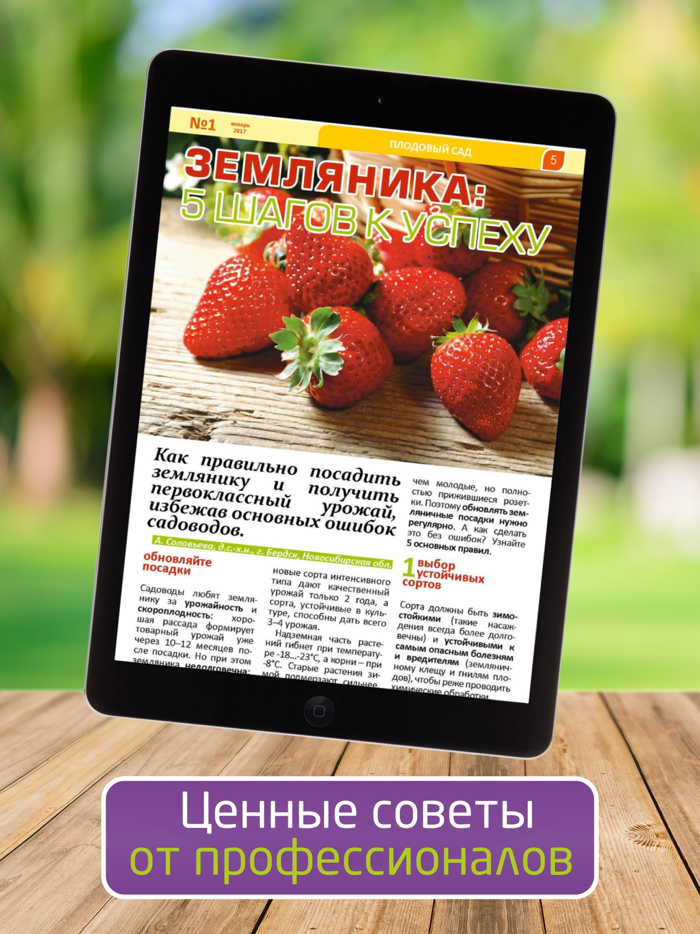 Мой Дачный клуб