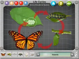 Game screenshot Interactive Life Cycles mod apk