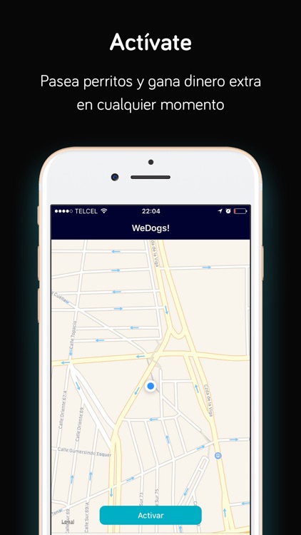 WeDogs! – Para Paseadores