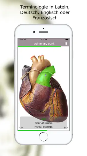 Screenshot von Anatomie Quiz Premium auf dem iPhone 4