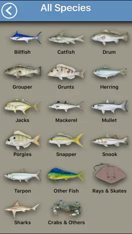 Game screenshot Fish the Gulf apk