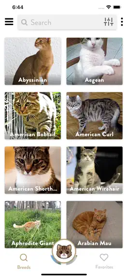Game screenshot Cats Pedia: Breed identifier mod apk