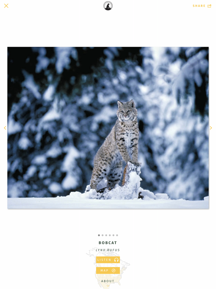 NWF Guide to Mammals