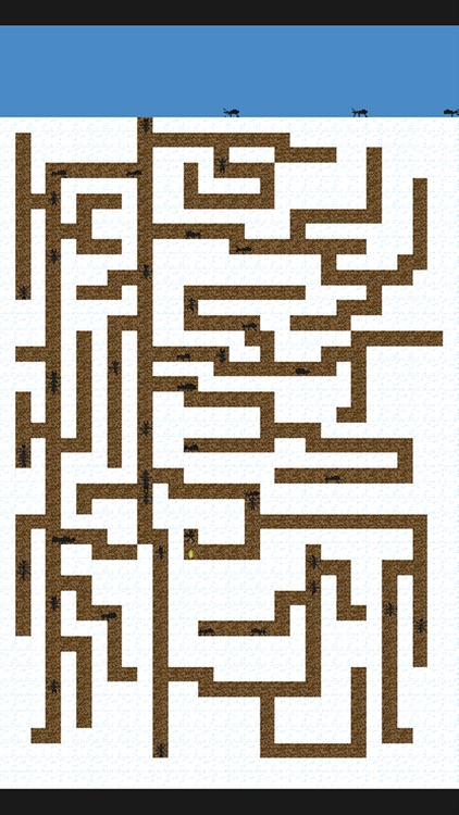 Ant City screenshot-4