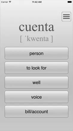 Learn Top 300 Spanish Words iPhone image 3