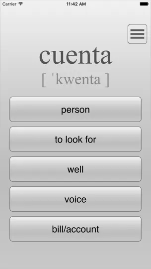 Learn Top 300 Spanish Words iPhone Screenshot 3
