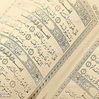 Quran - Al Minshawi