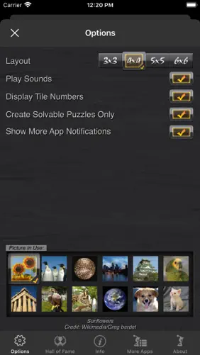 Picture Tile Slider Pro screenshot 4