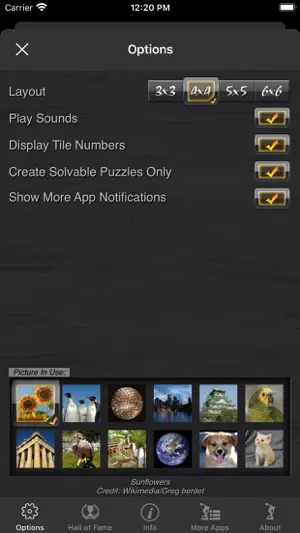Picture Tile Slider Pro screenshot 4